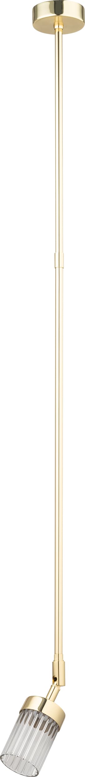 Seti